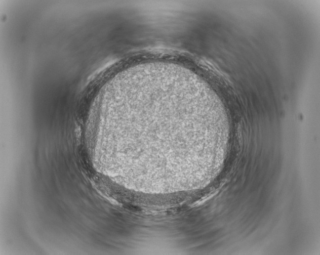 X0000087741302200706041027