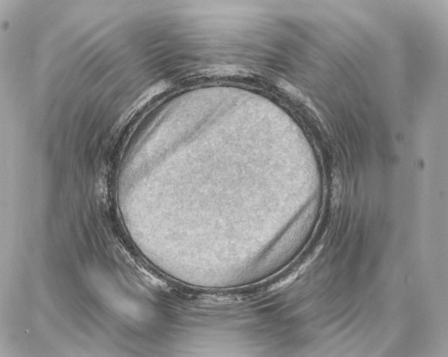 X0000087741305200706041027