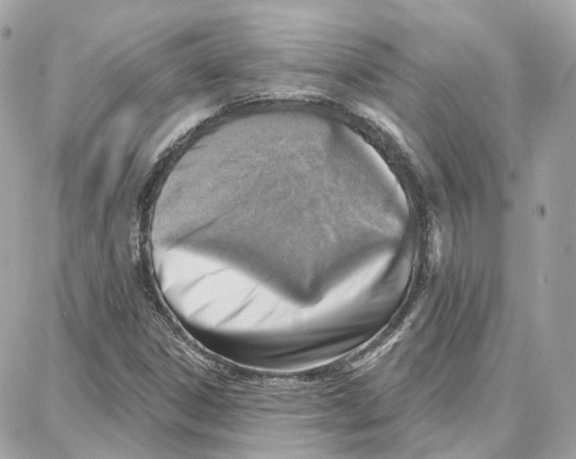 X0000087741306200706041027