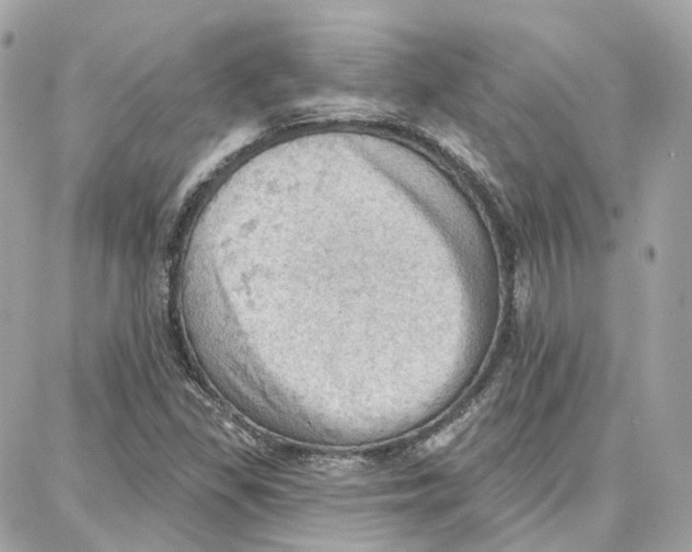 X0000087741309200706041027