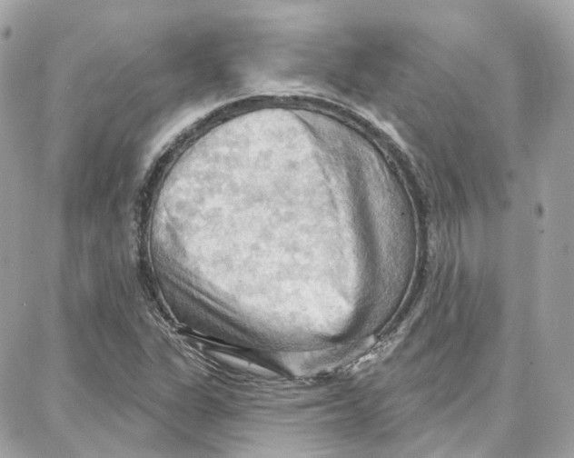 X0000087741311200706041027