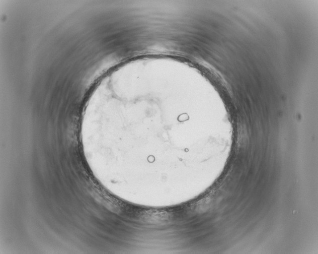 X0000087741314200706041027