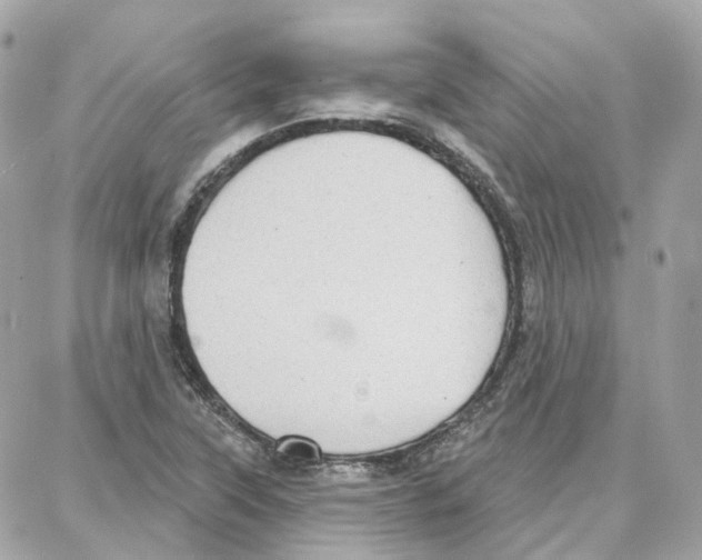 X0000087741315200706041027