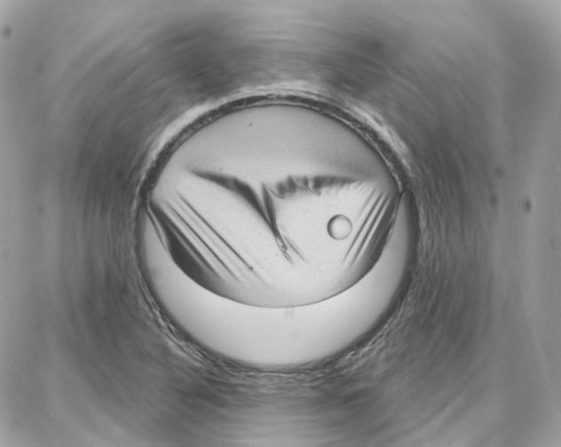 X0000087741316200706041027