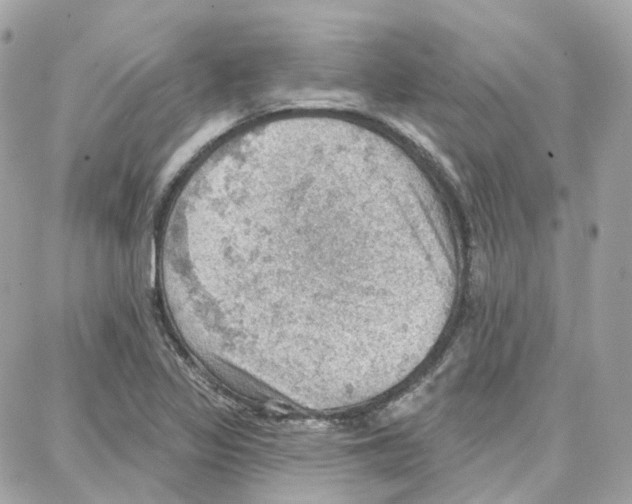 X0000087741317200706041027