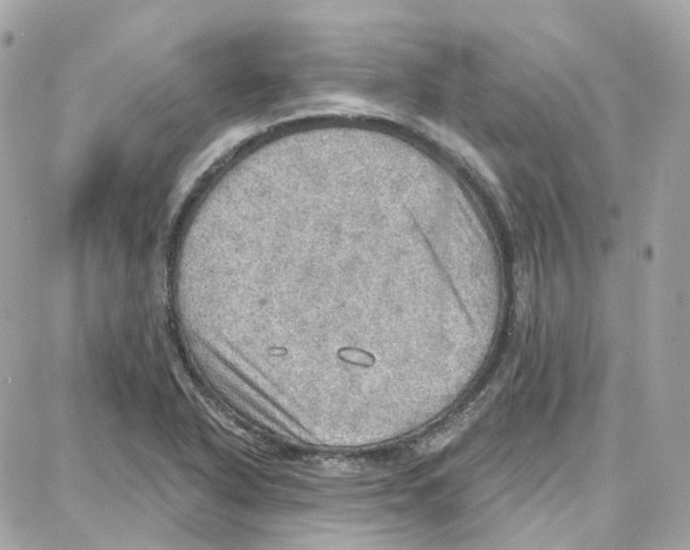 X0000087741318200706041027