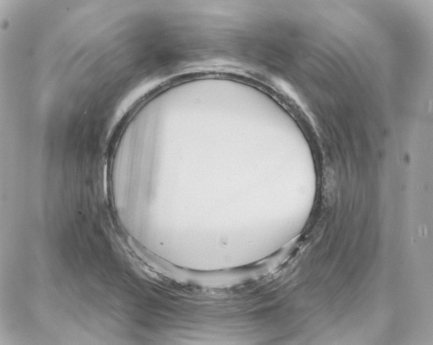 X0000087741320200706041027