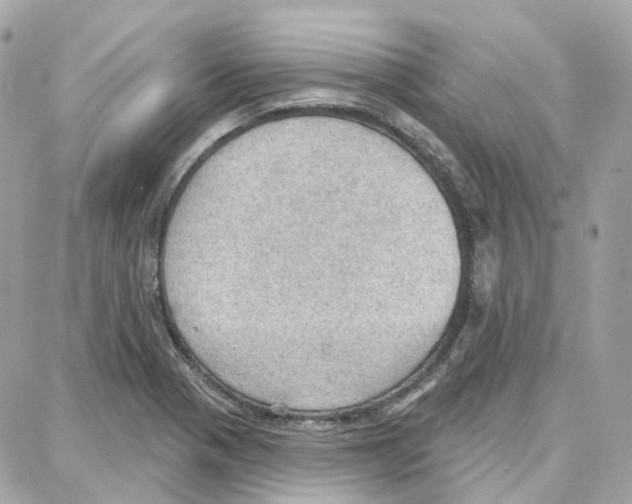 X0000087741321200706041027