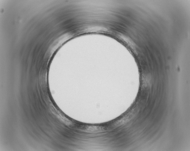 X0000087741322200706041027