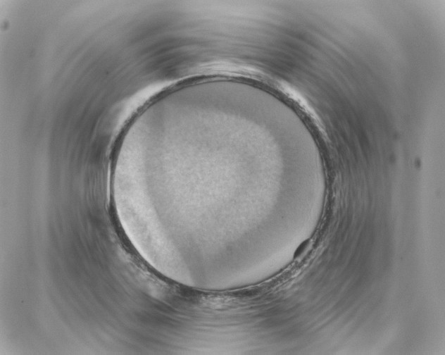 X0000087741323200706041027