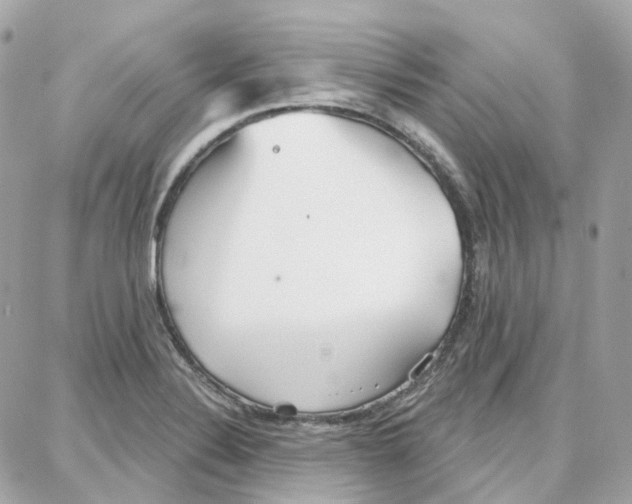 X0000087741324200706041027