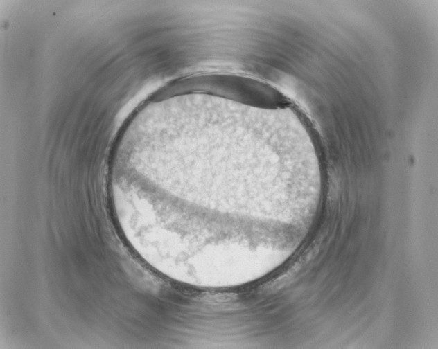 X0000087741325200706041027