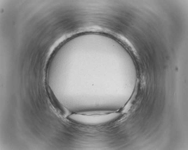 X0000087741326200706041027