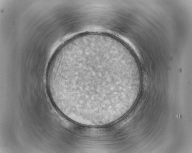 X0000087741327200706041027