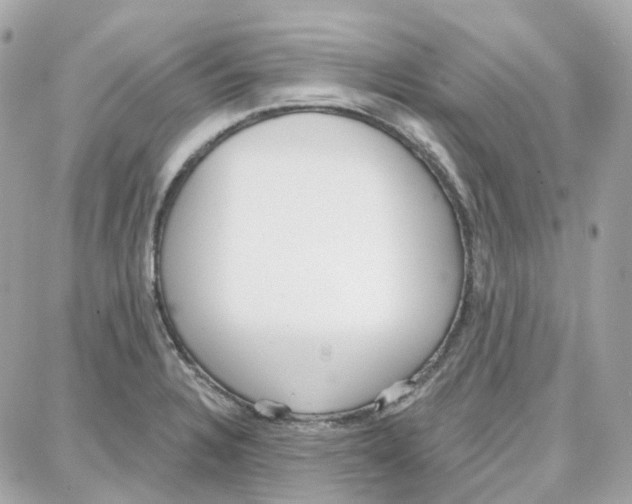 X0000087741328200706041027