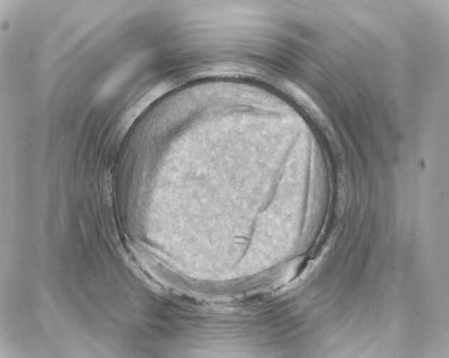 X0000087741329200706041027