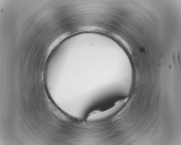 X0000087741330200706041027