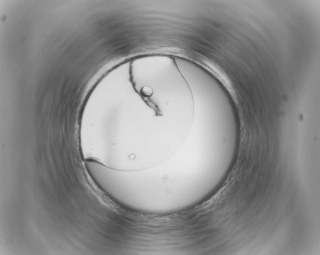 X0000087741332200706041027