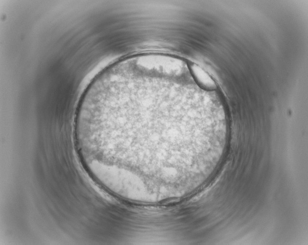 X0000087741333200706041027