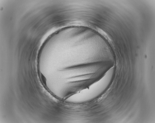 X0000087741334200706041027