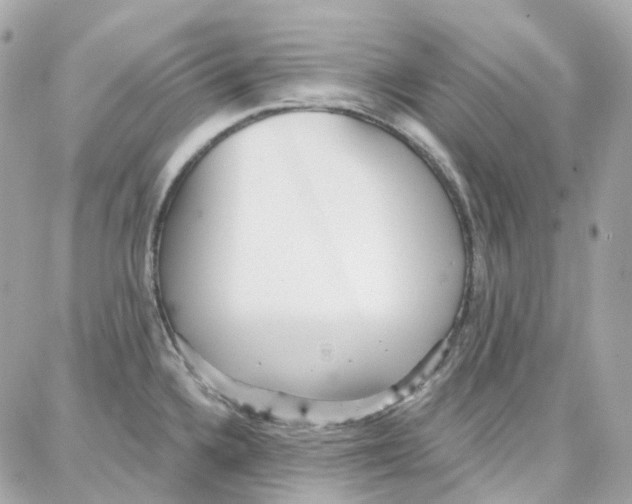 X0000087741336200706041027