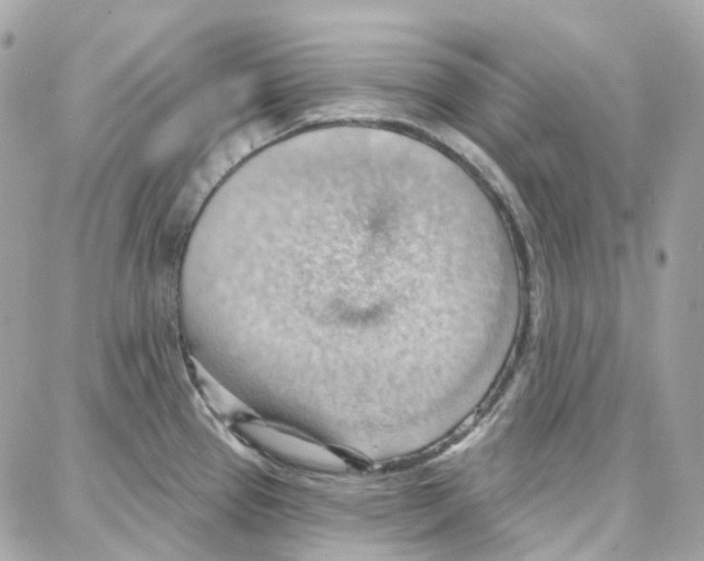 X0000087741337200706041027