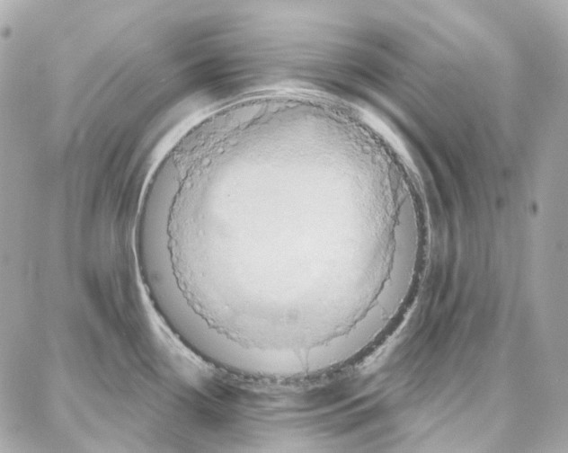 X0000087741338200706041027