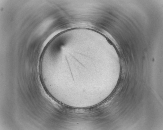 X0000087741339200706041027