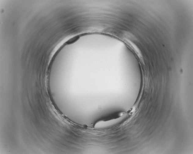 X0000087741340200706041027