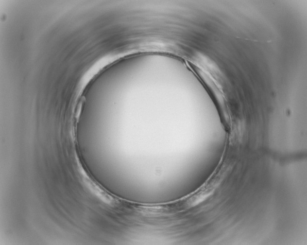 X0000087741342200706041027