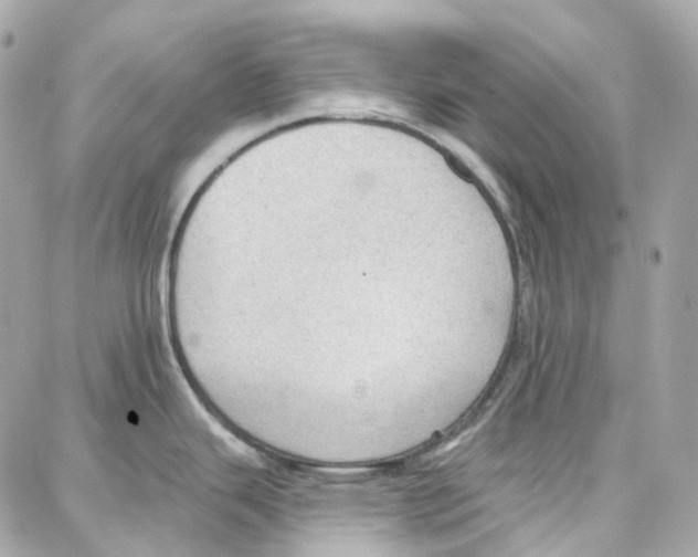 X0000087741343200706041027