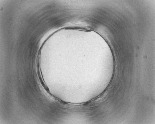 X0000087741344200706041027