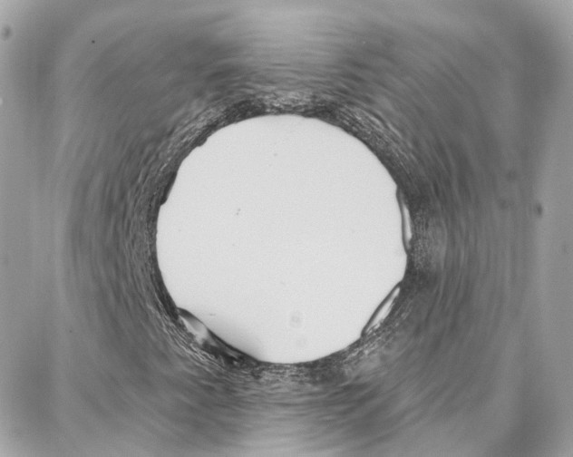 X0000087741345200706041026