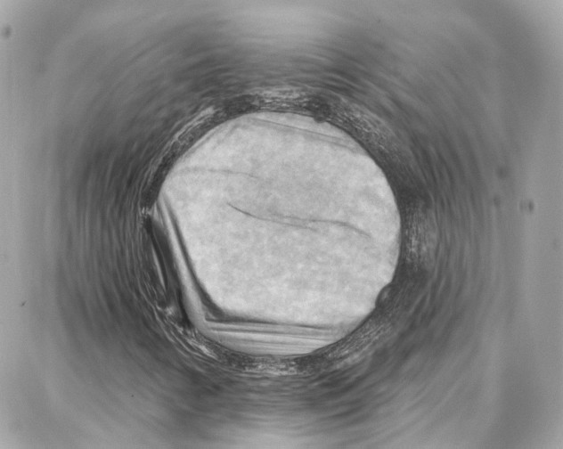 X0000087741346200706041026