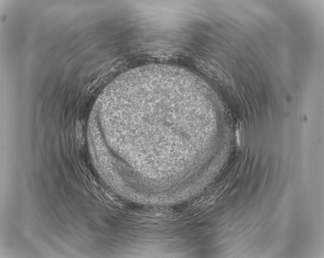 X0000087741347200706041026