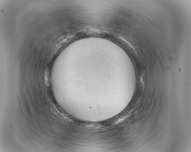 X0000087741348200706041026