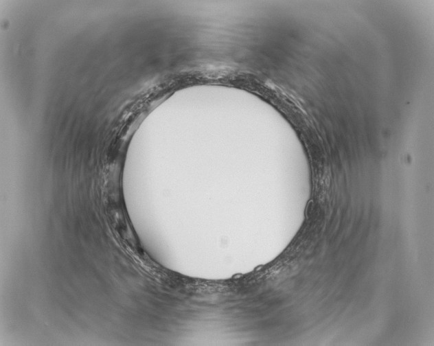 X0000087741349200706041026