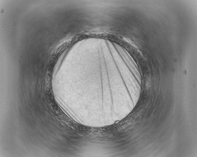 X0000087741350200706041026