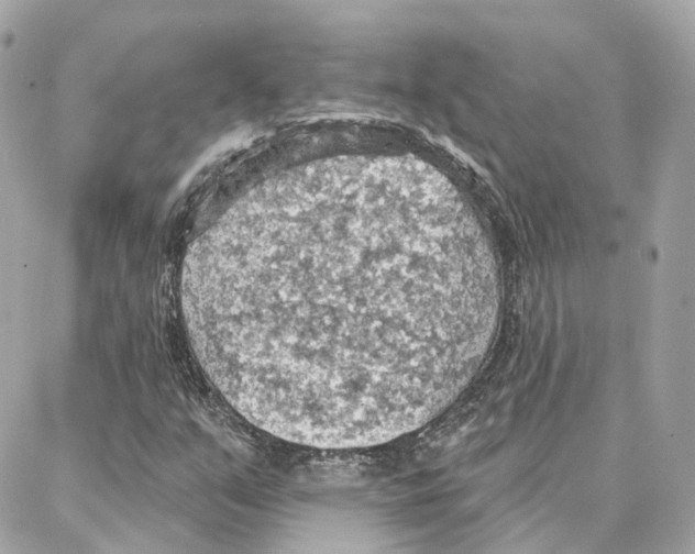 X0000087741351200706041026