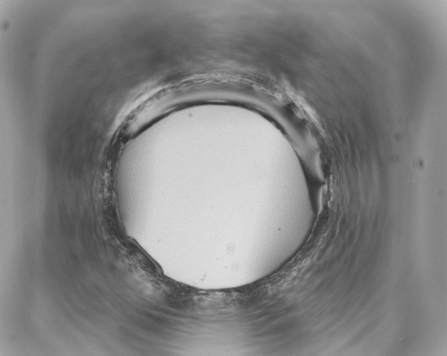 X0000087741352200706041026