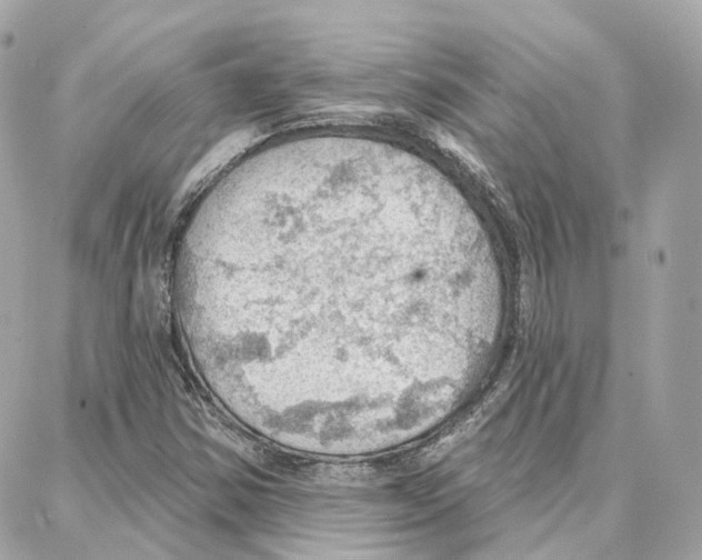 X0000087741354200706041026