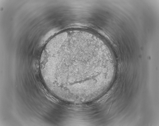 X0000087741355200706041026