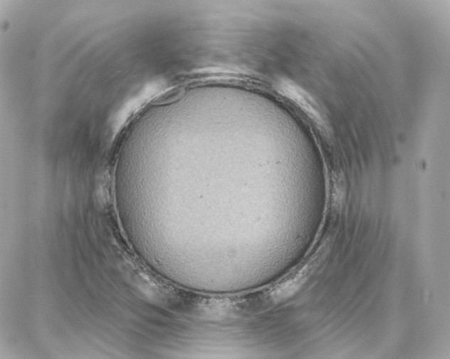 X0000087741357200706041026