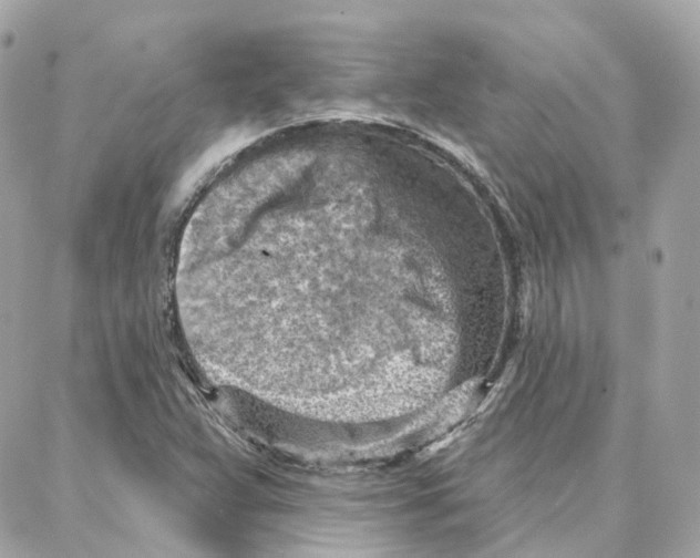 X0000087741359200706041026