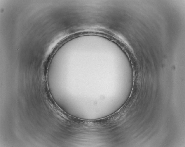 X0000087741360200706041026