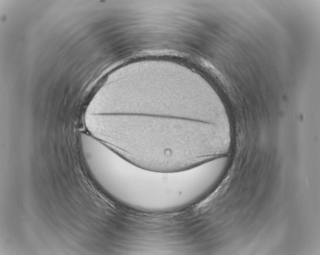 X0000087741361200706041026