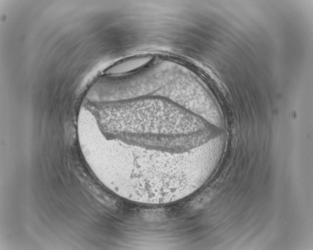 X0000087741363200706041026