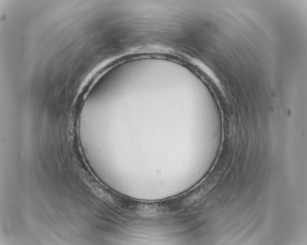 X0000087741364200706041026