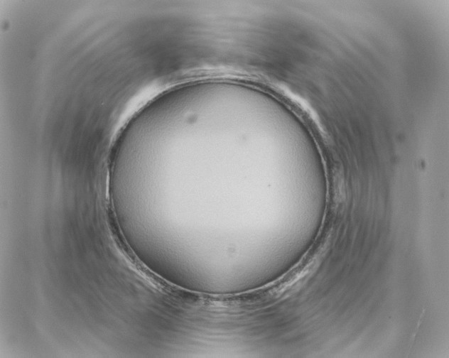 X0000087741365200706041026