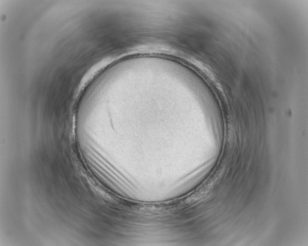 X0000087741366200706041026